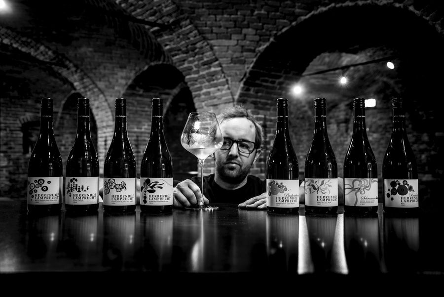 Herrenhof Lamprecht - Smagekasse - 6 eller 12 flasker